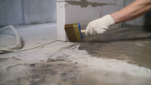 SJ Waterproofing Pros Waterproofing coverage map for Cicero, IN and surrounding area